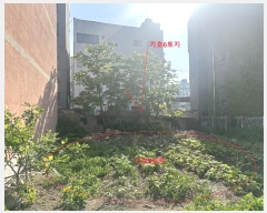  2024Ÿ��53800  �����