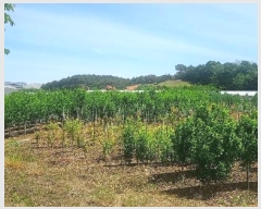  2024Ÿ54568 泲  õ ڰ 113-9      (1)