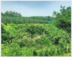  2024Ÿ54568 泲  õ ڰ 113-9      (1)