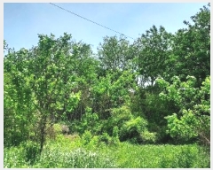  2024Ÿ54568 泲  õ ڰ 113-9      (1)