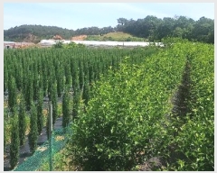  2024Ÿ54568 泲  õ ڰ 113-9      (1)