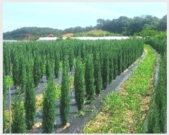  2024Ÿ54568 泲  õ ڰ 113-9      (1)