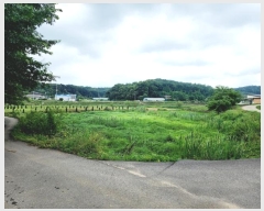  2024Ÿ55493 泲  ۾  186      ()