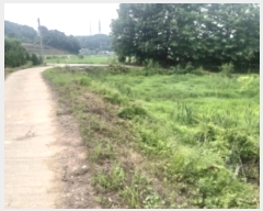  2024Ÿ55493 泲  ۾  186      ()