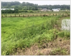  2024Ÿ55493 泲  ۾  186      ()