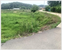  2024Ÿ55493 泲  ۾  186      ()