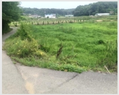  2024Ÿ55493 泲  ۾  186      ()