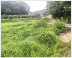  2024Ÿ55493 泲  ۾  186      ()