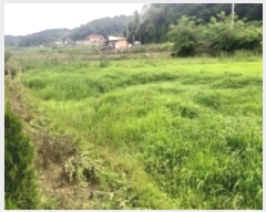  2024Ÿ55493 泲  ۾  186      ()