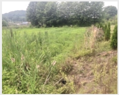  2024Ÿ55493 泲  ۾  186      ()