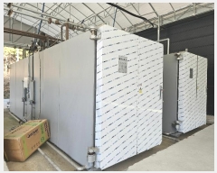  2024Ÿ��60662  â�����