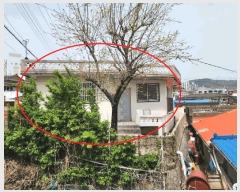  2024Ÿ��61054  ���ð��