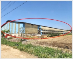  2024Ÿ1090 泲  ϸ ⸮ 451-5      (󰡽ü)