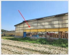  2024Ÿ1090 泲  ϸ ⸮ 451-5      (󰡽ü)