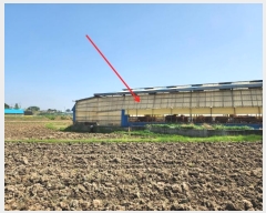  2024Ÿ1090 泲  ϸ ⸮ 451-5      (󰡽ü)