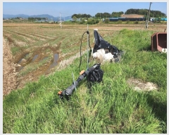  2024Ÿ1090 泲  ϸ ⸮ 451-5      (󰡽ü)