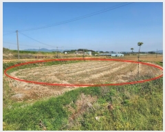  2024Ÿ1090 泲  ϸ ⸮ 451-5      (󰡽ü)