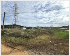  2024Ÿ��3874  �ٸ��ü����