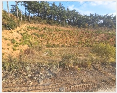  2024Ÿ4167 泲 ¾ȱ ϸ ݰ踮 1019-4      (Ӿ)