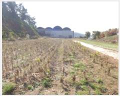  2024Ÿ4167 泲 ¾ȱ ϸ ݰ踮 1019-4      (Ӿ)