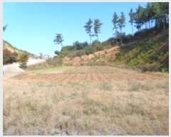  2024Ÿ4167 泲 ¾ȱ ϸ ݰ踮 1019-4      (Ӿ)