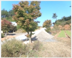  2024Ÿ4167 泲 ¾ȱ ϸ ݰ踮 1019-4      (Ӿ)