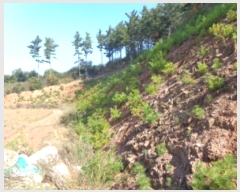  2024Ÿ4167 泲 ¾ȱ ϸ ݰ踮 1019-4      (Ӿ)