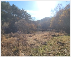  2024Ÿ��4778 �泲 ������ ������ �ʶ����� 54-2      ����(��1)���