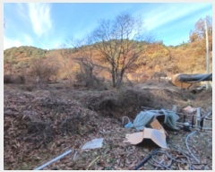  2024Ÿ��4778 �泲 ������ ������ �ʶ����� 54-2      ����(��1)���