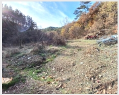  2024Ÿ��4778 �泲 ������ ������ �ʶ����� 54-2      ����(��1)���