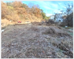  2024Ÿ��4778 �泲 ������ ������ �ʶ����� 54-2      ����(��1)���