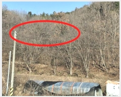  2024Ÿ4907 泲   װ 39-1      (1)