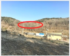  2024Ÿ4907 泲   װ 39-1      (1)