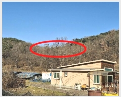  2024Ÿ4907 泲   װ 39-1      (1)