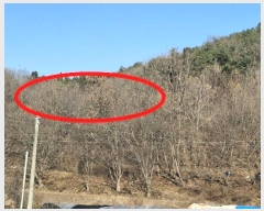  2024Ÿ4907 泲   װ 39-1      (1)