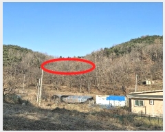  2024Ÿ4907 泲   װ 39-1      (1)