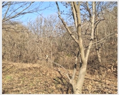  2024Ÿ4907 泲   װ 39-1      (1)