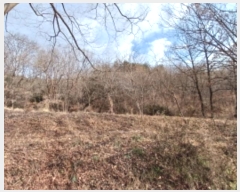  2024Ÿ4907 泲   װ 39-1      (1)