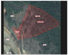  2024Ÿ4907 泲   װ 39-1      (1)