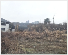  2024Ÿ��5214  �����