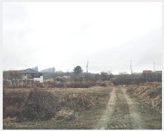  2024Ÿ��5214  �����