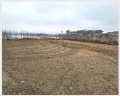  2024Ÿ��5214  �����