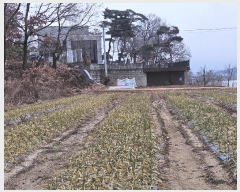  2024Ÿ��5214  �����