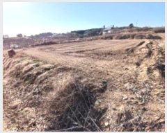  2024Ÿ��5214  �����