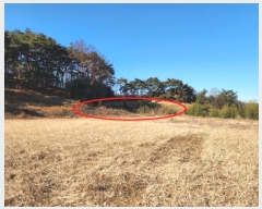  2024Ÿ5276 泲  Ⱥ и 1283-9      (1)