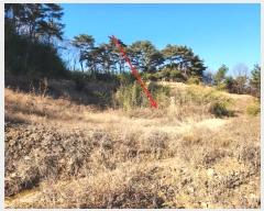  2024Ÿ5276 泲  Ⱥ и 1283-9      (1)