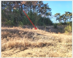  2024Ÿ5276 泲  Ⱥ и 1283-9      (1)