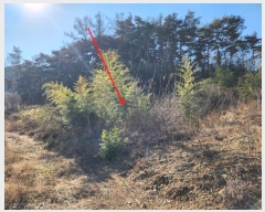  2024Ÿ5276 泲  Ⱥ и 1283-9      (1)