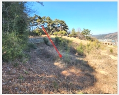  2024Ÿ5276 泲  Ⱥ и 1283-9      (1)