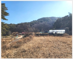  2024Ÿ5276 泲  Ⱥ и 1283-9      (1)